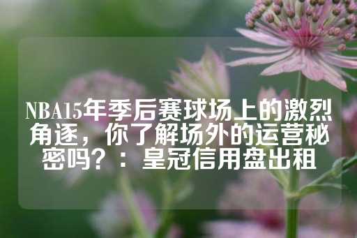 NBA15年季后赛球场上的激烈角逐，你了解场外的运营秘密吗？：皇冠信用盘出租-第1张图片-皇冠信用盘出租